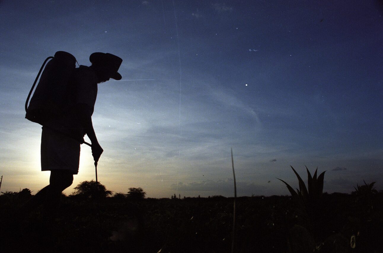 ‘Poison bill’ could progress this month, environment and human rights bodies are furious