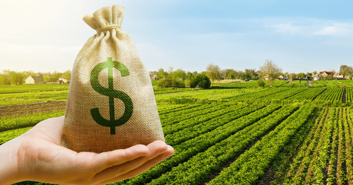 Mercados e safras — soja e milho em Chicago e no Brasil, café, exportações, financiamento e tecnologia rural anunciados na COP30 e em relatórios oficiais