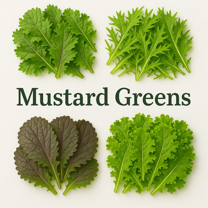 List of Mustard Varieties 