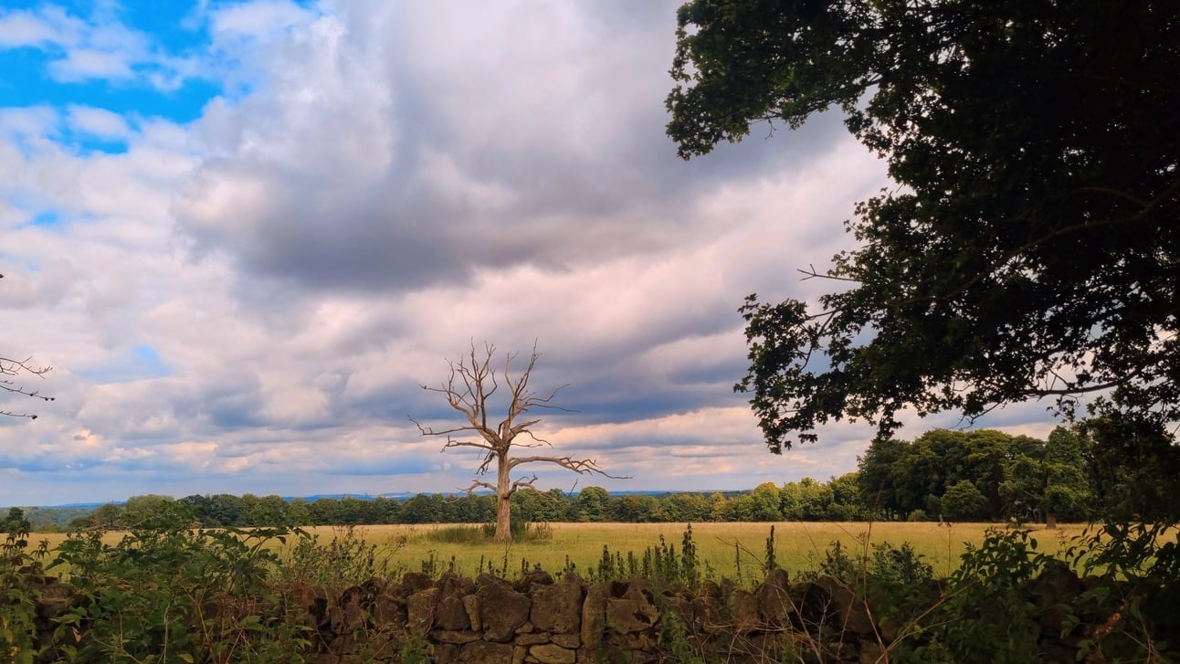 Overconsumption is Keeping You Stuck (and Broke) 