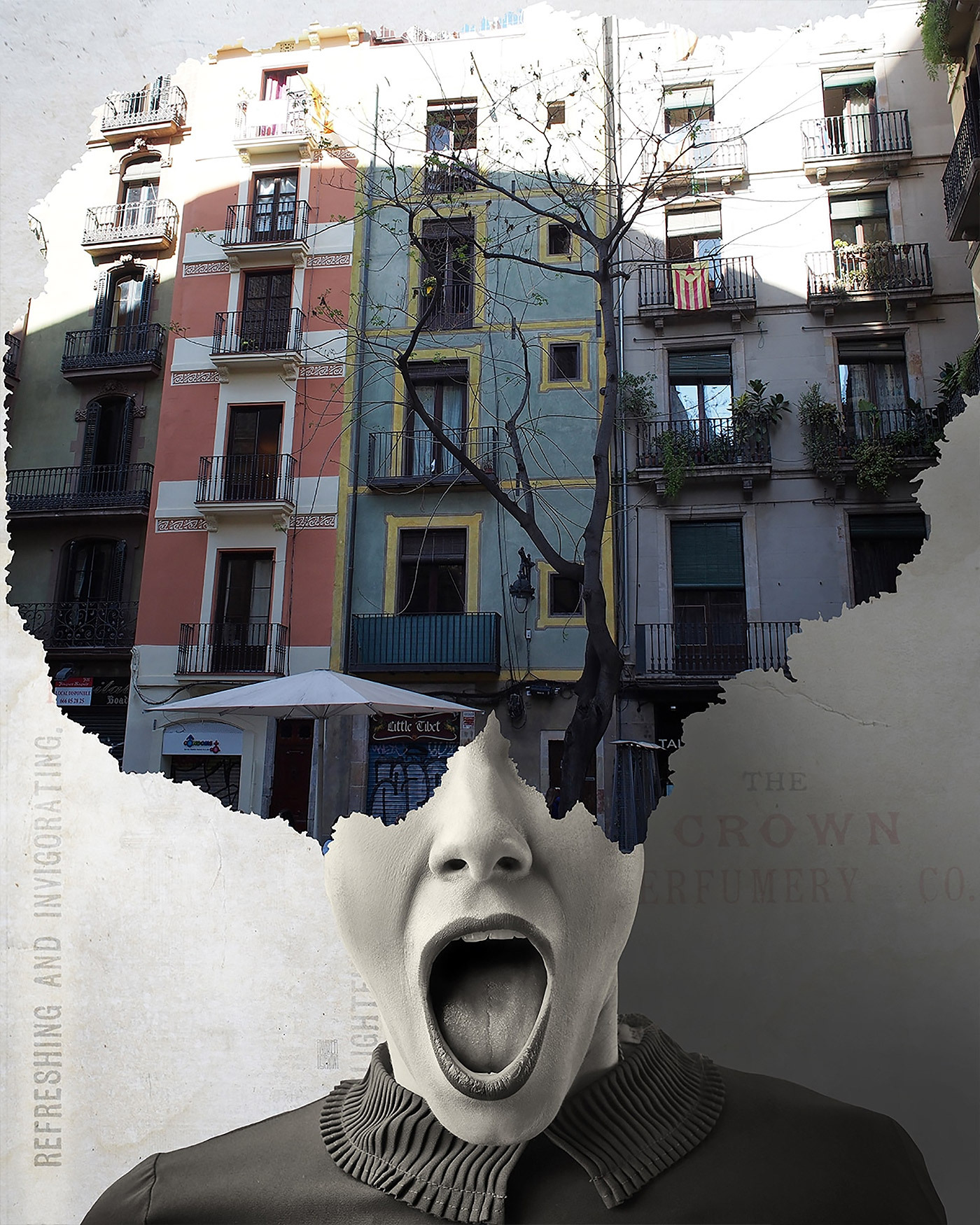 Where is My Mind? Collages by Aidan Sartin Conte