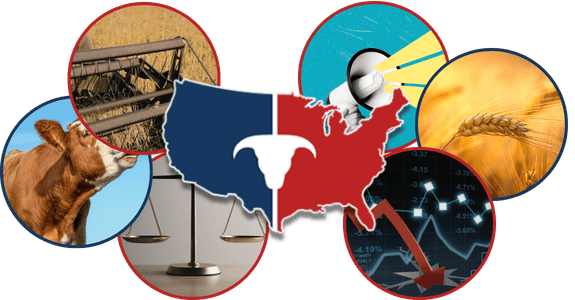 CATTLEUSA DRIVE - Monday, March 23rd