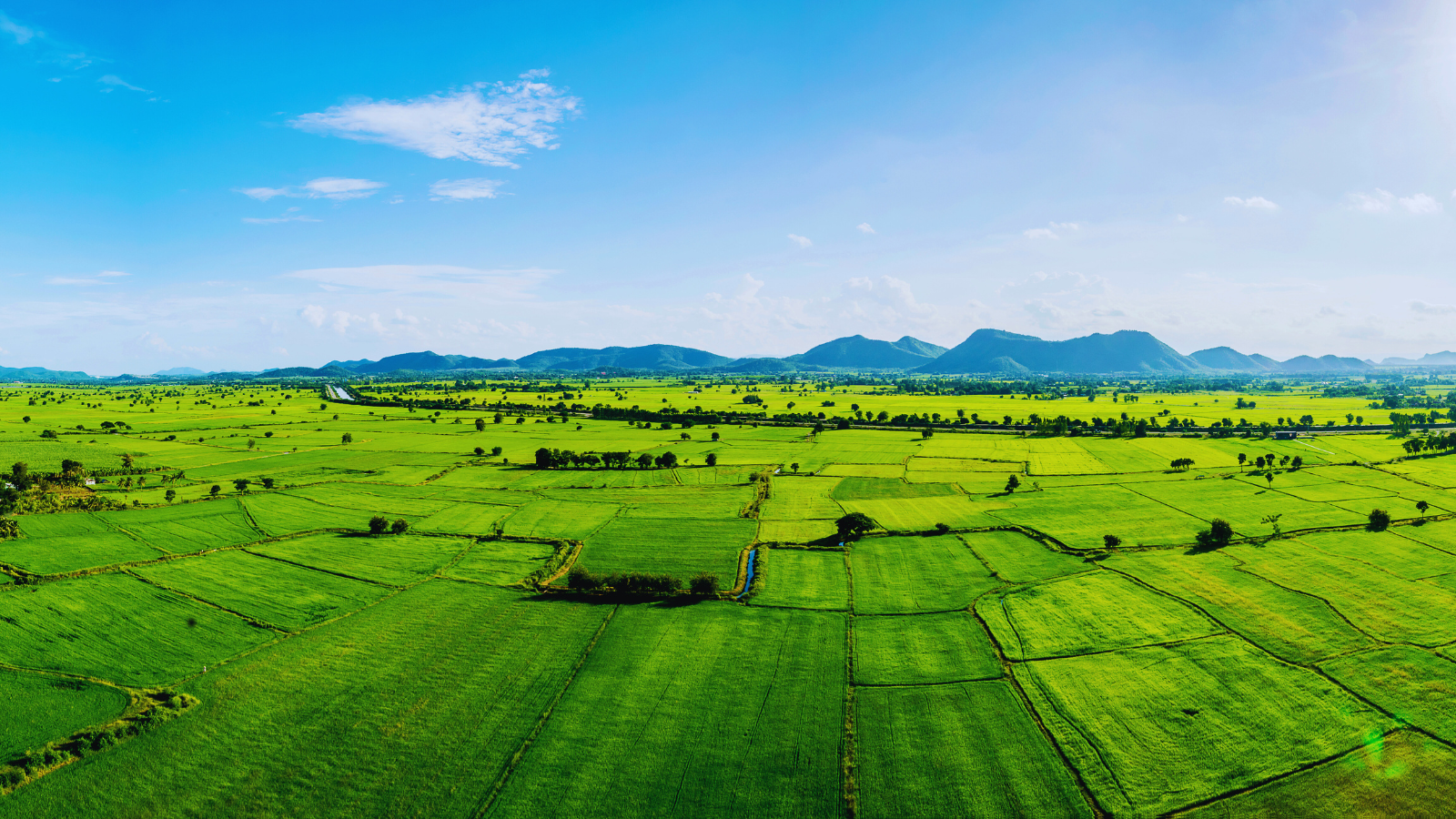 Millrose Properties: High-Yield, Hard Assets