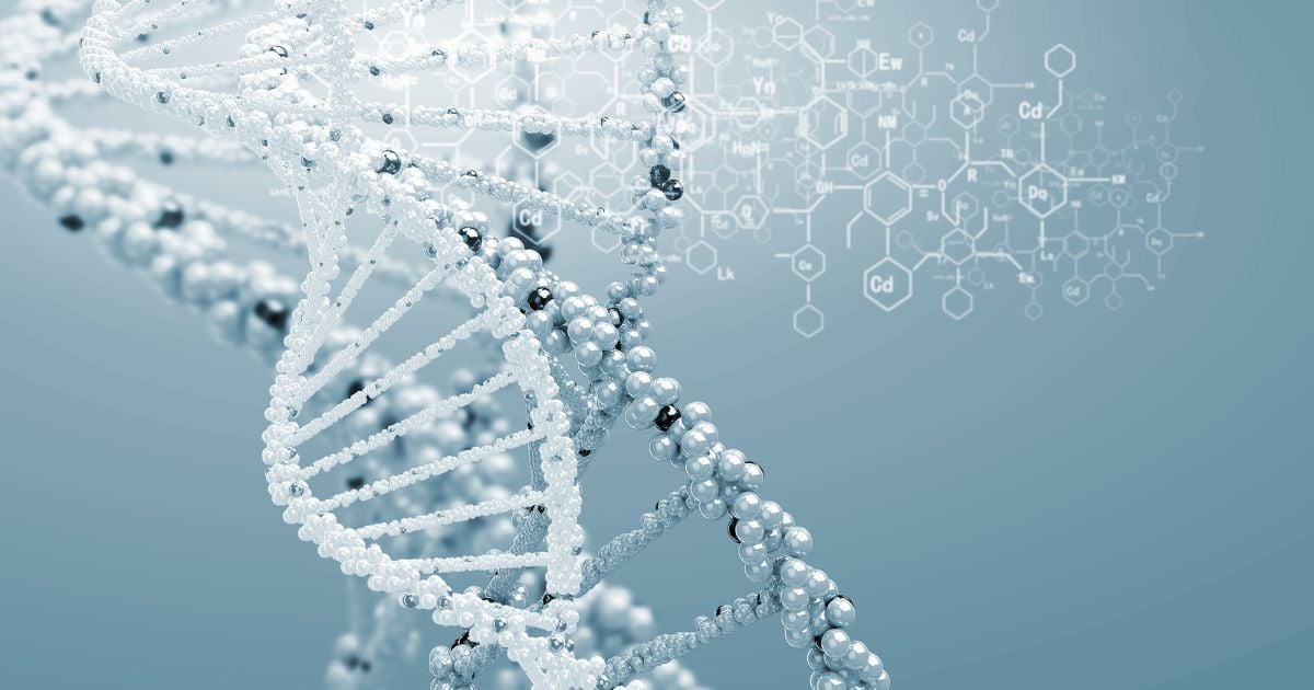 How Your Genes Shape Appetite and Weight