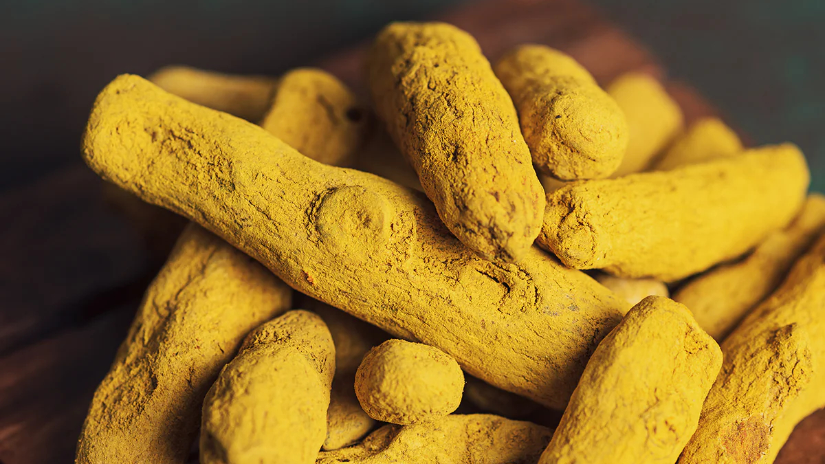 The Golden Root That Changed My Dog