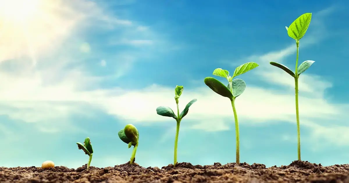 Framework For Tracking Bitcoin Adoption Metrics Impacting Price/Volume and Money Flow