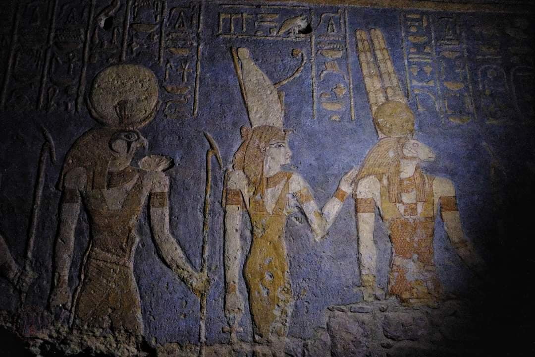 Sudan Croc Dispatch🐊31: Data Fever📊🥵