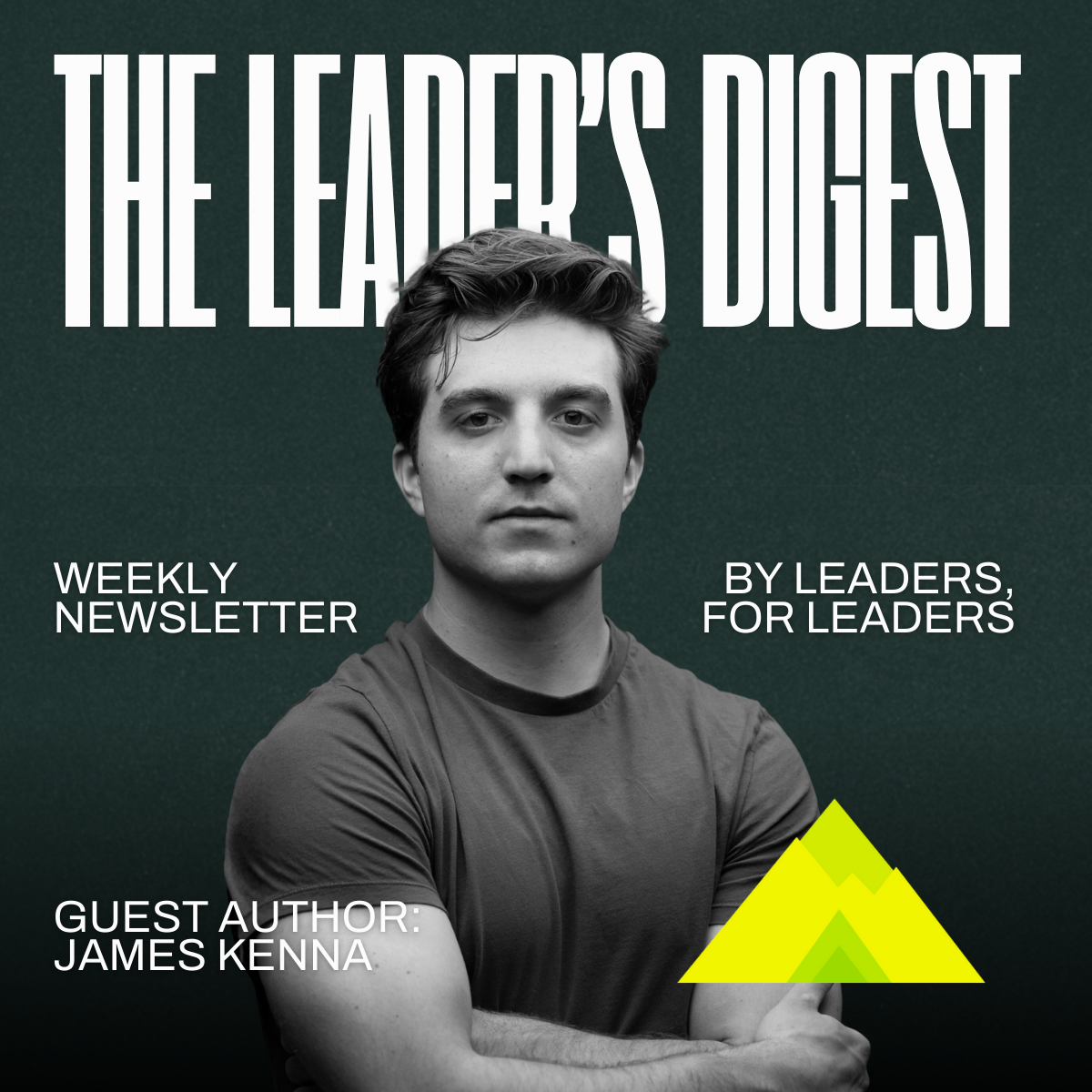 The ladder with endless rungs