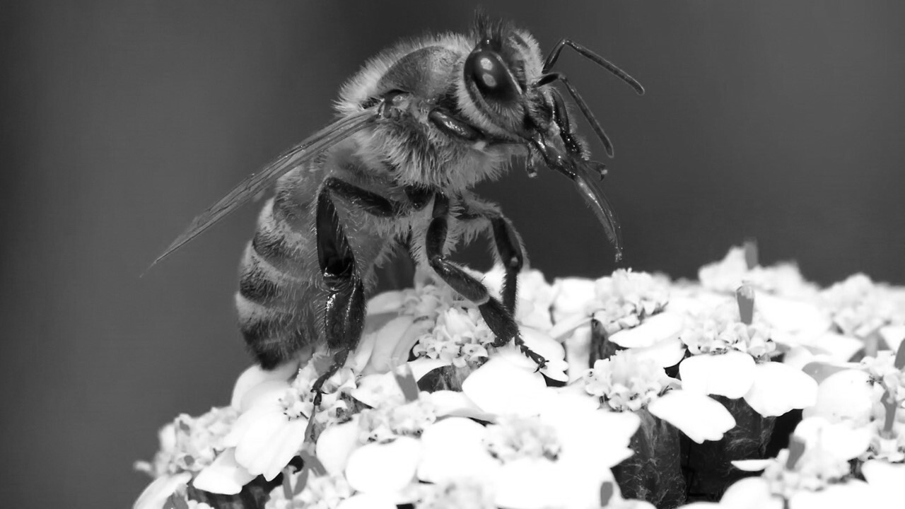 How To Write Effective Creative Briefs