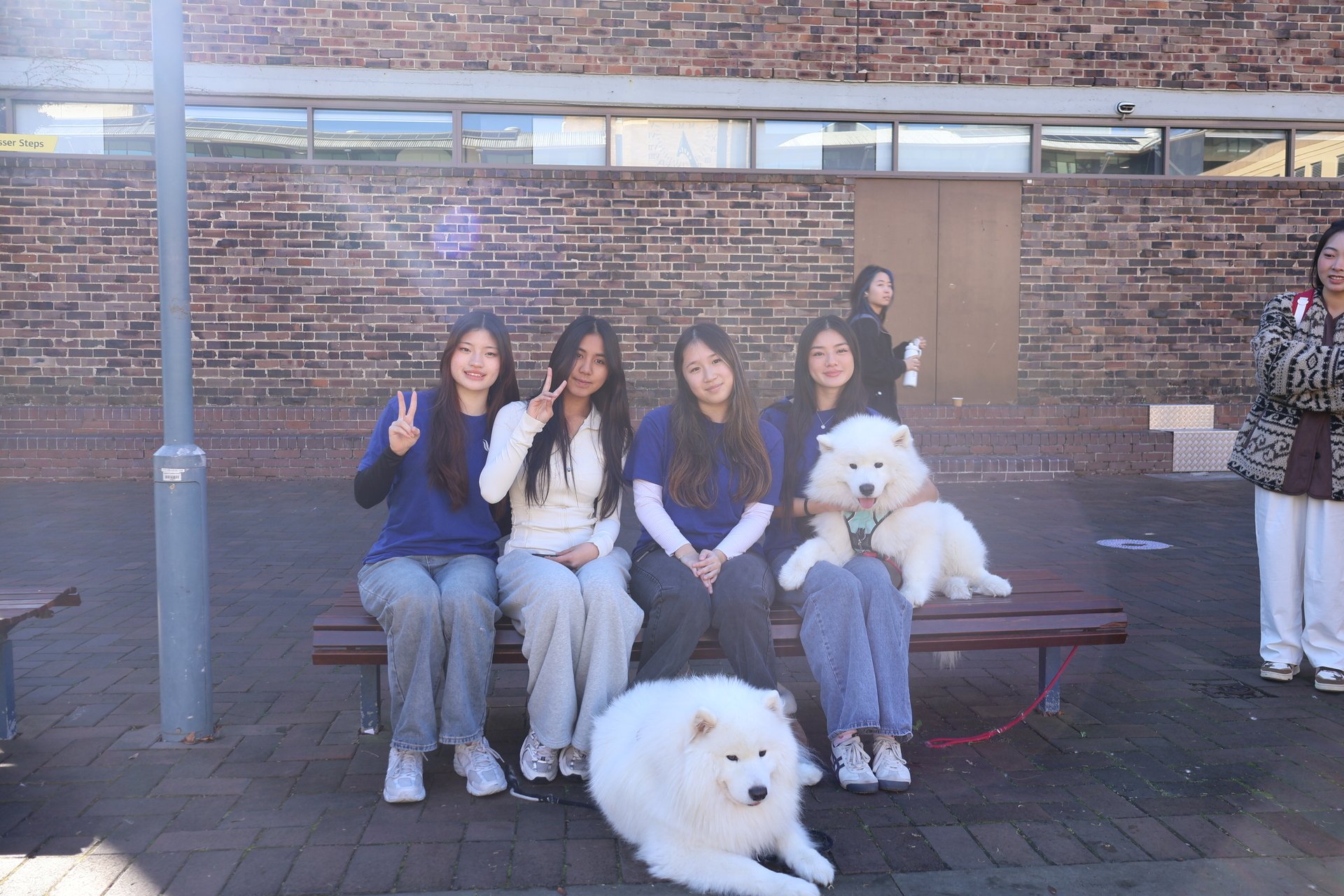 BSOC Upcoming Events!