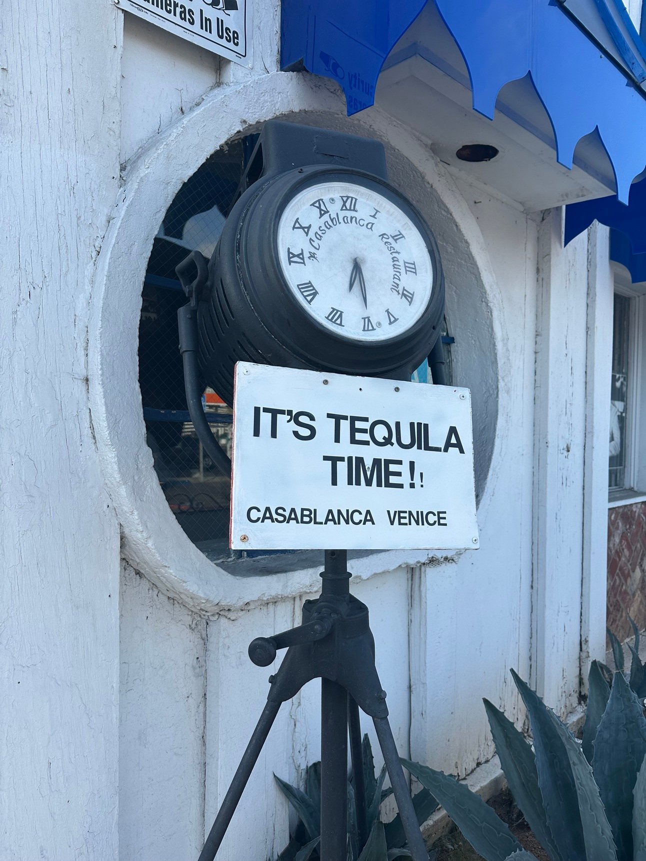 A trip to Casablanca 💖 & a new nu metal queen