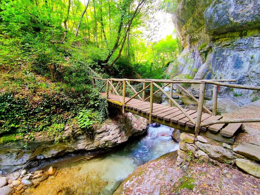 Discovering The Trails Around Us