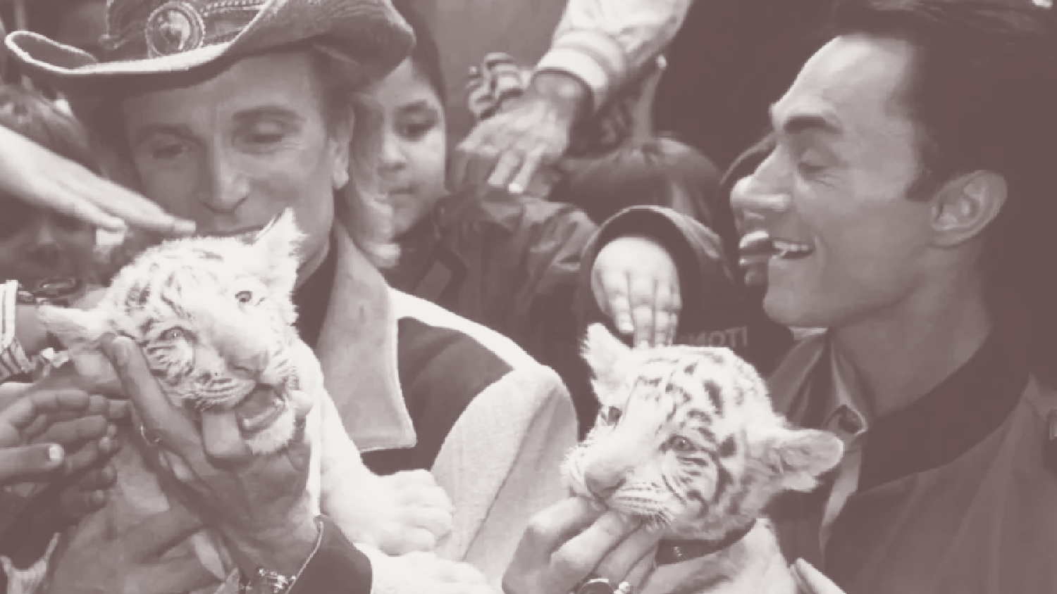 The Use of Animals in Magic Shows