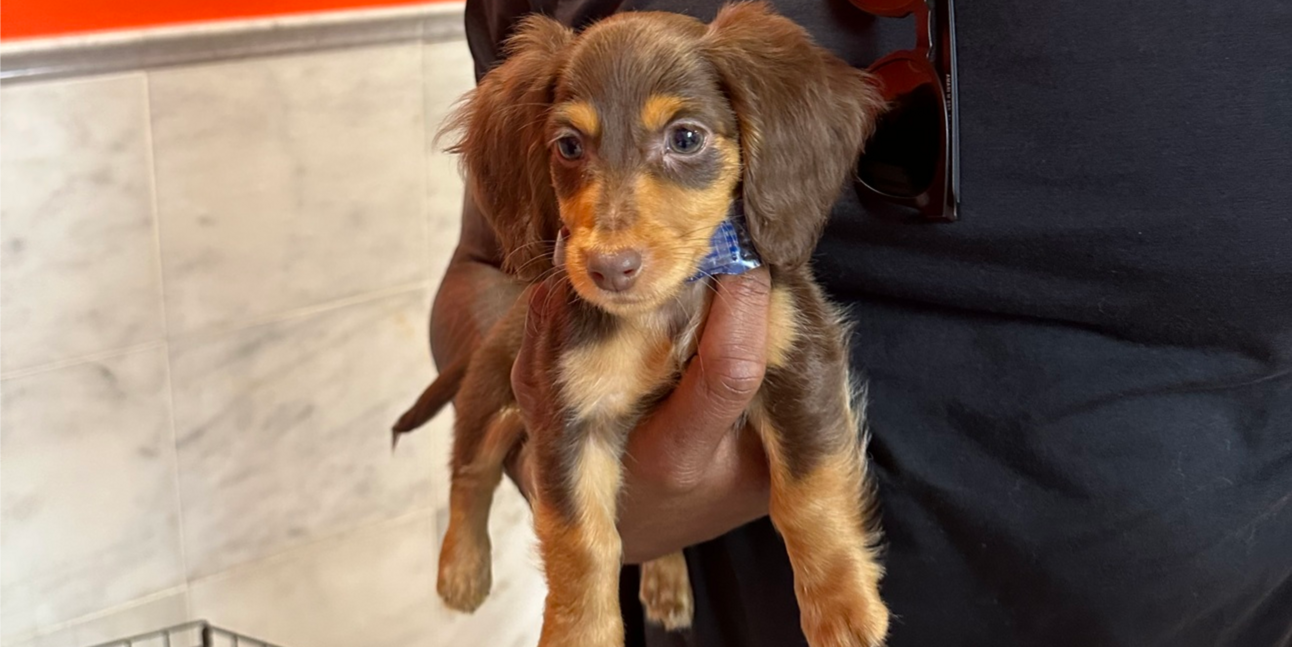 Frankie’s Advice From The Beyond