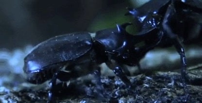 🪲 Volkswagen’s Cost-Cutting Chaos: Strikes, Layoffs, and Industry Drama