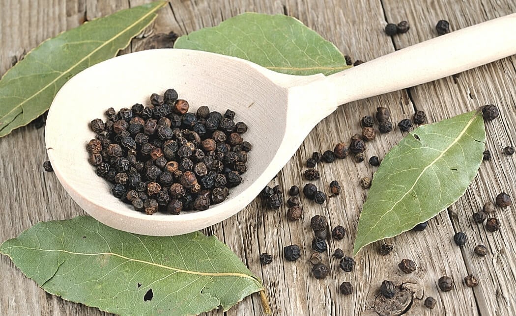 Black Pepper’s Hidden Power Against Modern Toxins and Chronic Decline