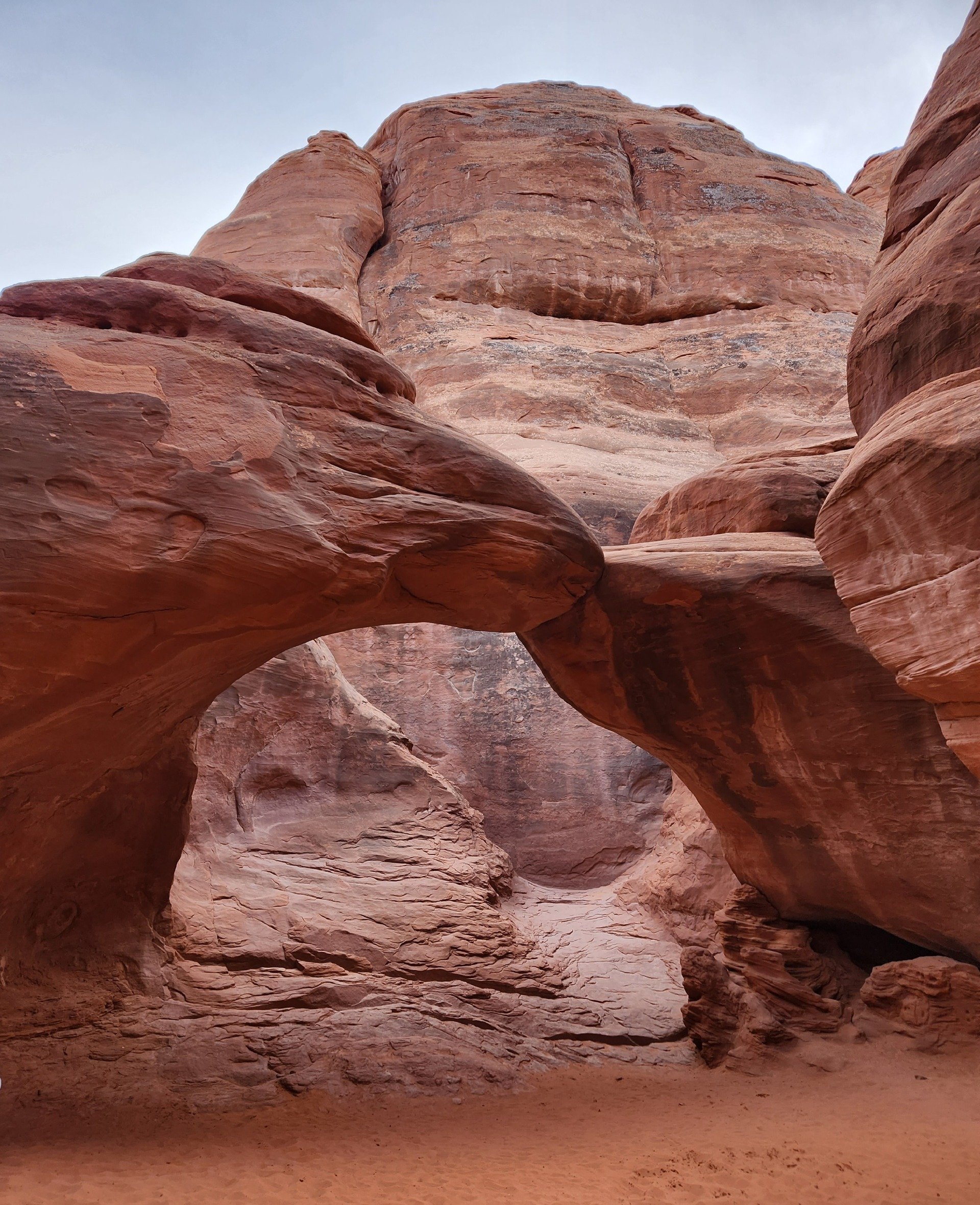 What is the season of your life? 