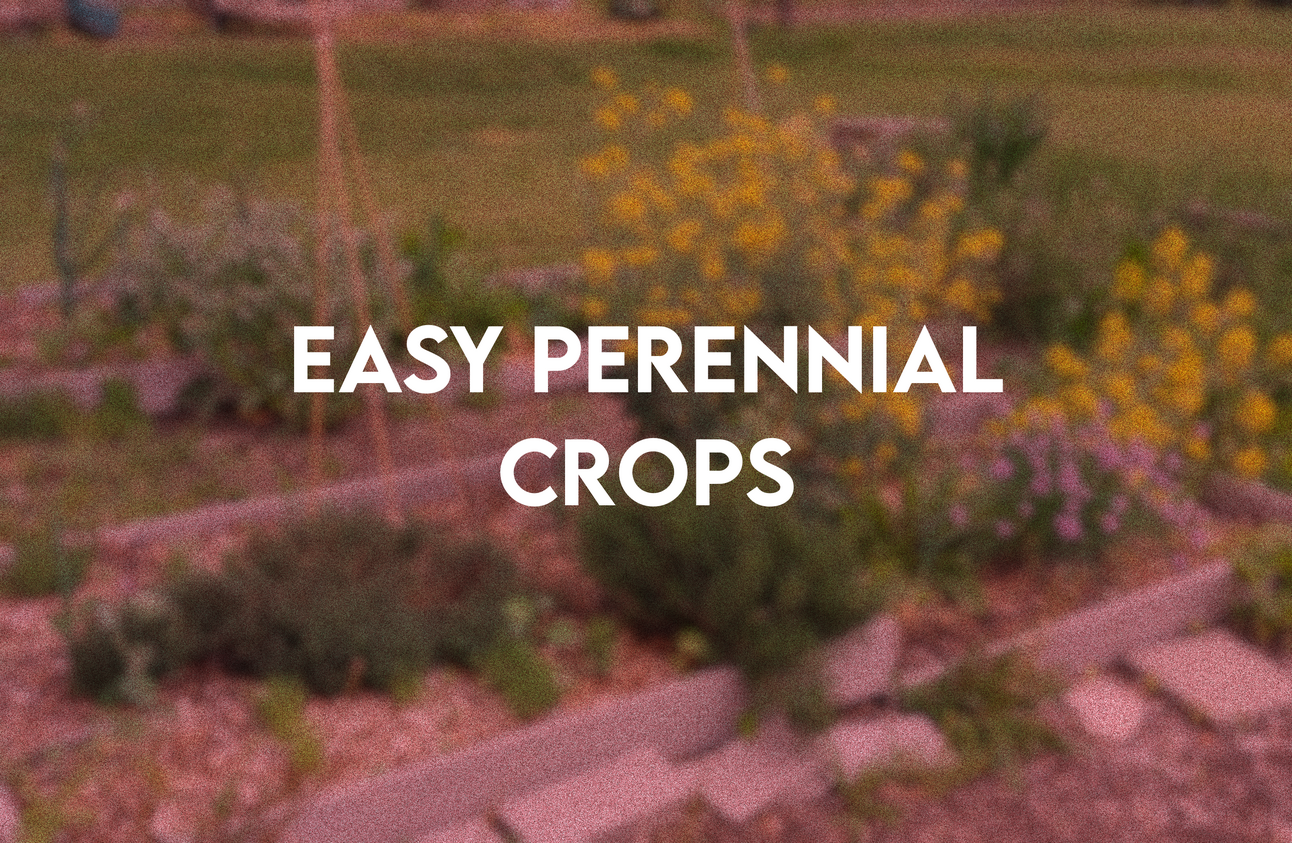 Easy Perennial Crops