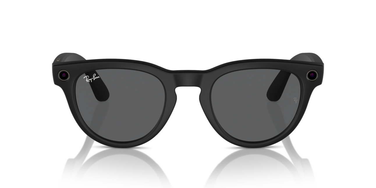 Our weird wearable AI future