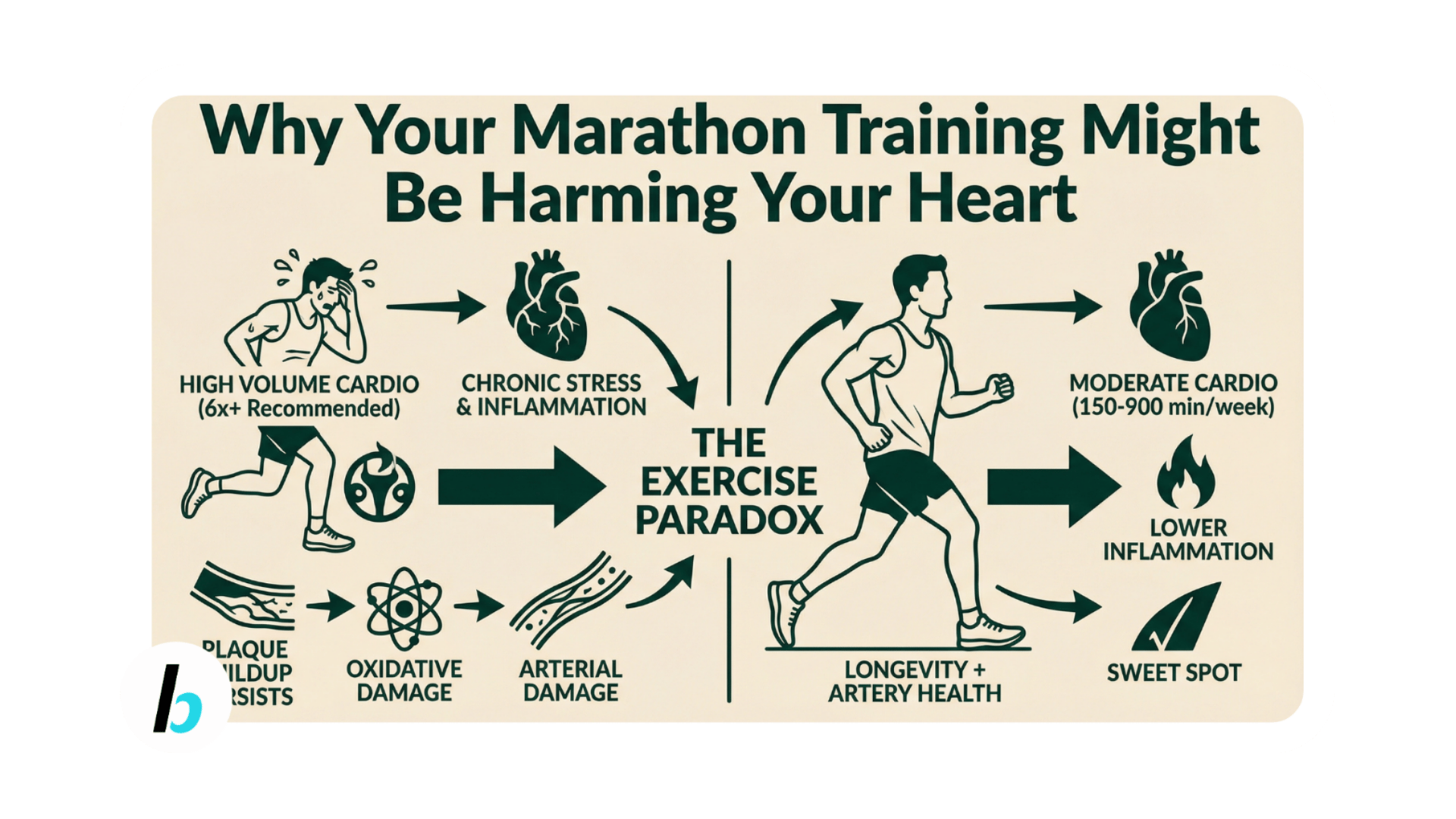 BusyBits #221: Your marathon training might be harming your heart