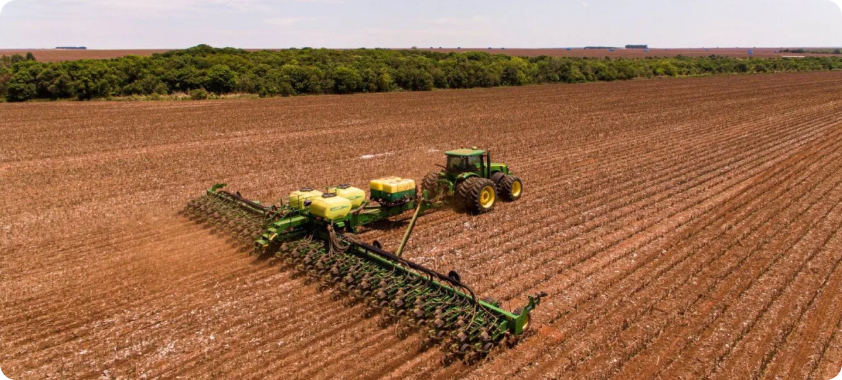 Agro em foco: plantio de soja 81% até 20/11; arroba do boi gordo recua em praças; embarques USDA dentro das expectativas; BNDES investe em biometano
