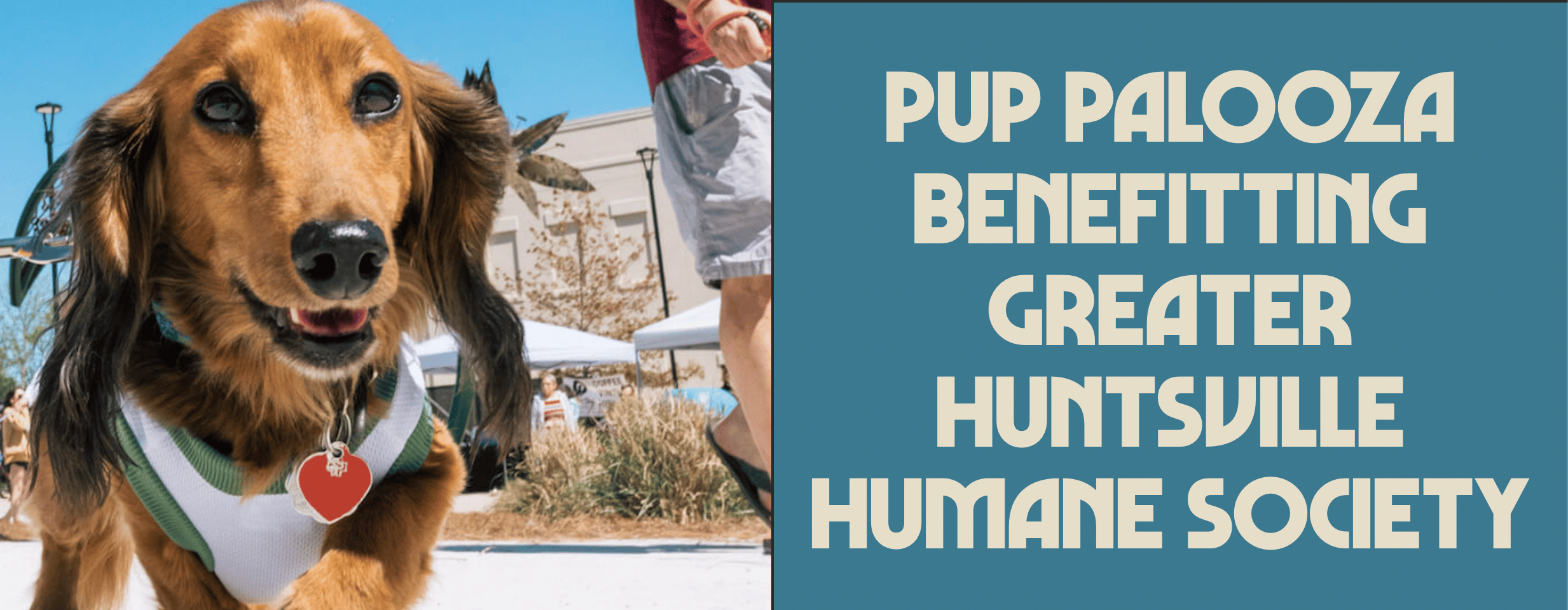 🏠Pup Palooza + $532M Huntsville Building Boom