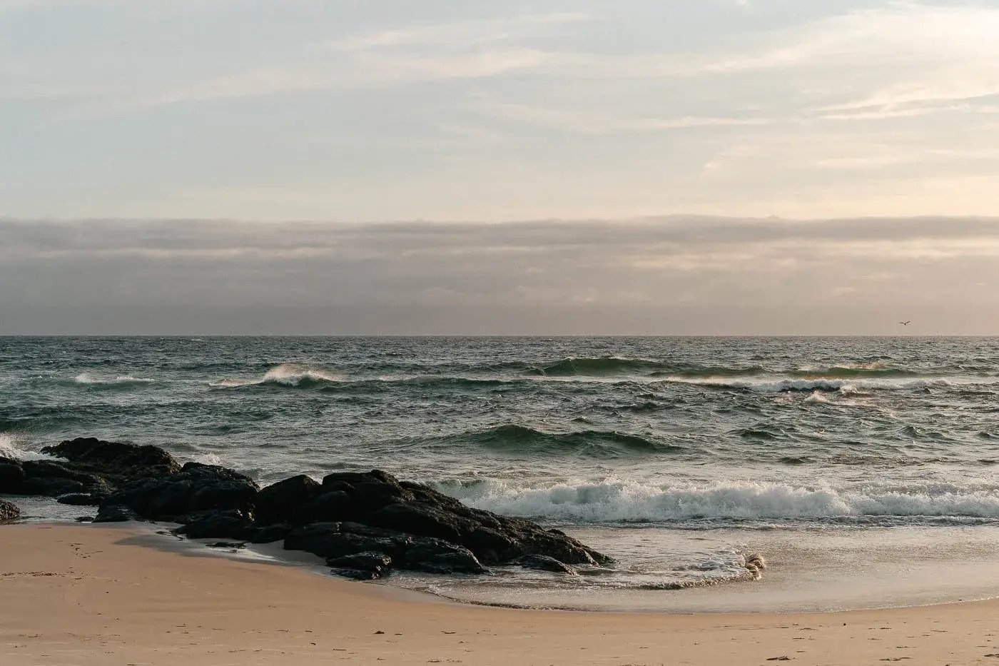 Slow is Powerful: The Zone 2 Reset You Didn’t Know You Needed