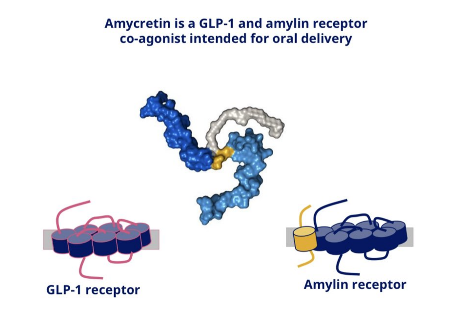 ADA Conference 2025: Amycretin & MariTide