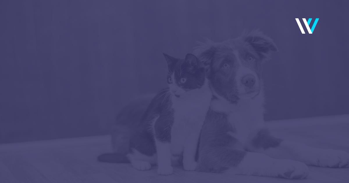 👯 How to Make Remote Work Friends