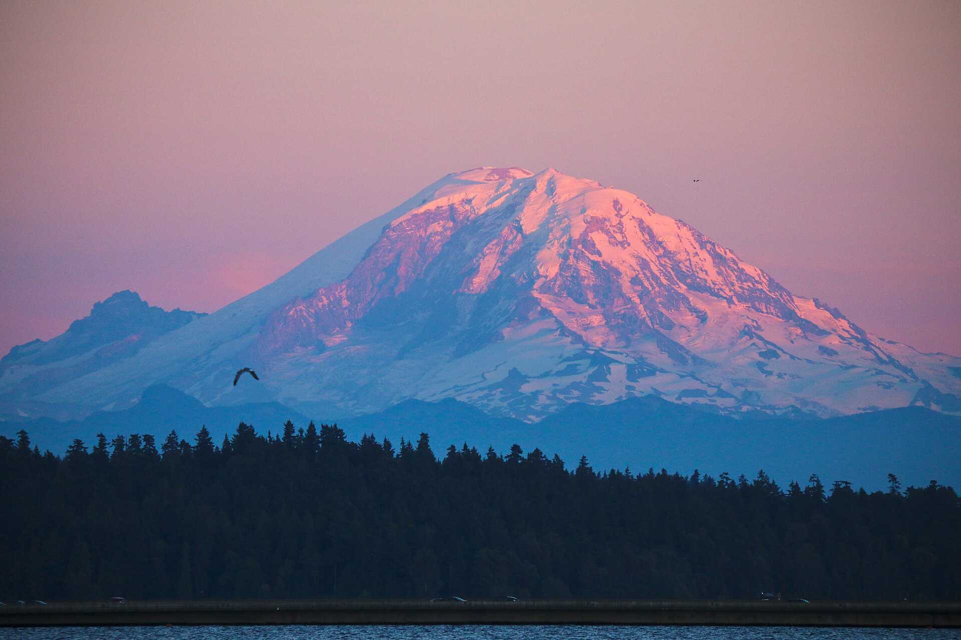 $4M median revenue for fintechs raising series A (TWIF 10/25)