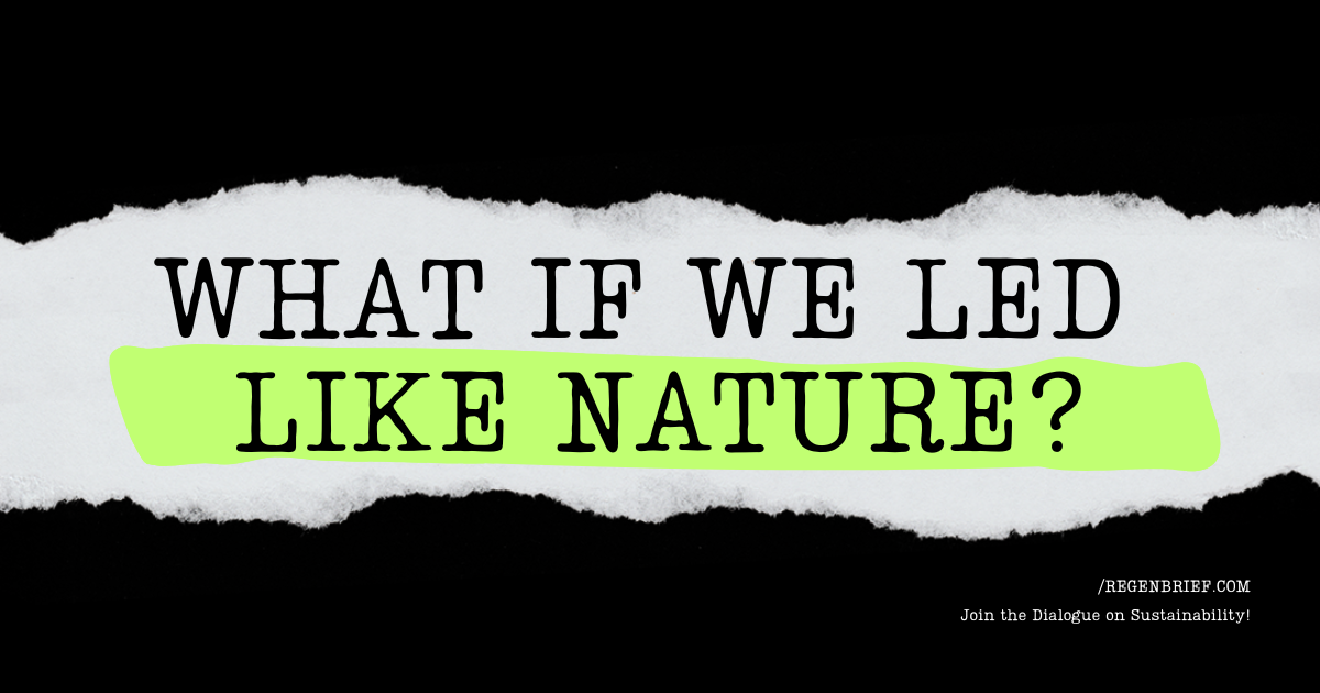 Regenerative Leadership: What If We Led Like Nature?