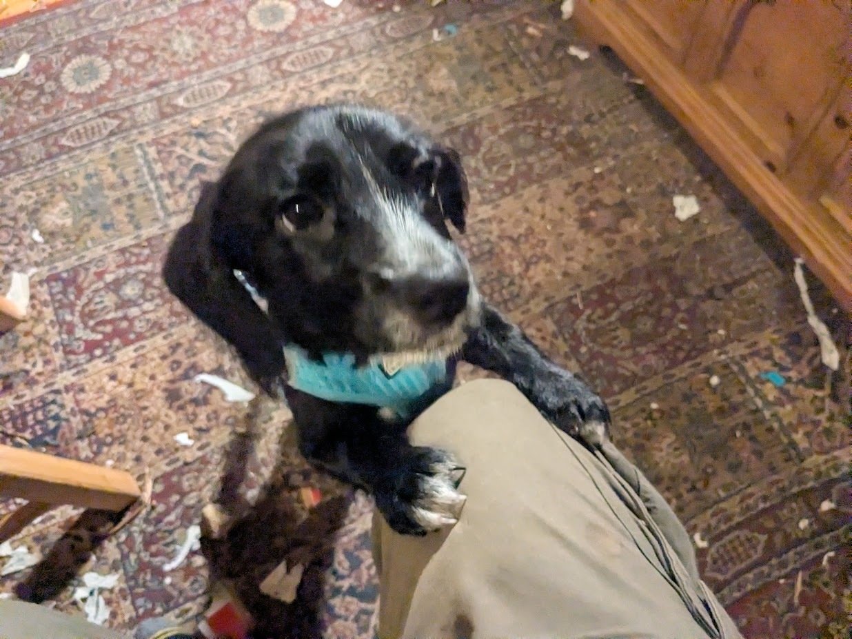 Gentle Decline 2/44: Hope & Higher