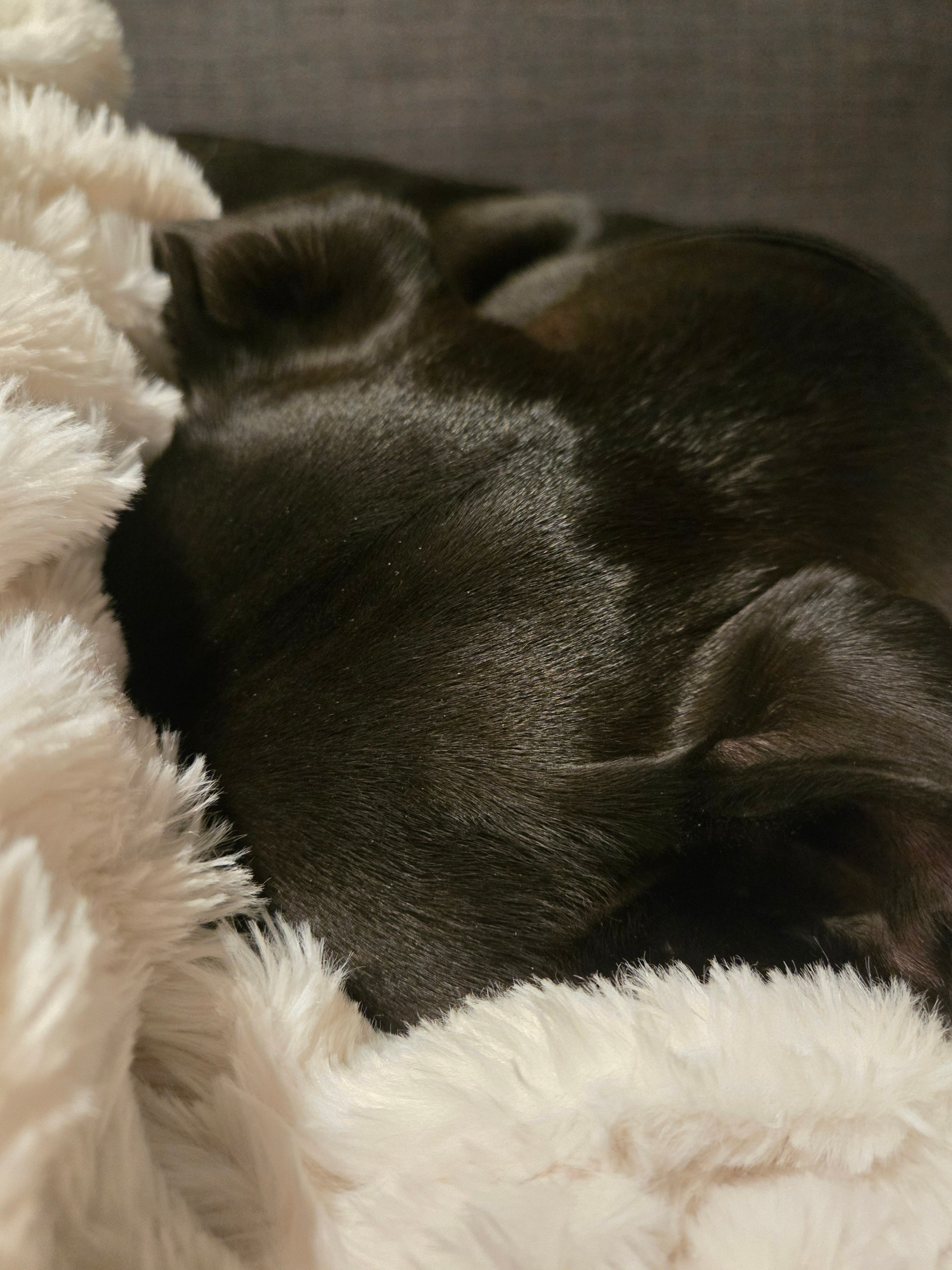 #AcademicRunPlaylist - 3/12/26