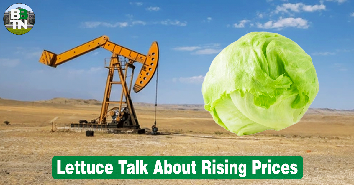 🥬 Lettuce Talk About Rising Prices