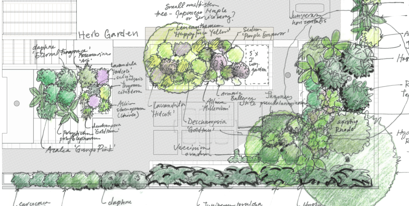 Design Inspiration & Spring Planning