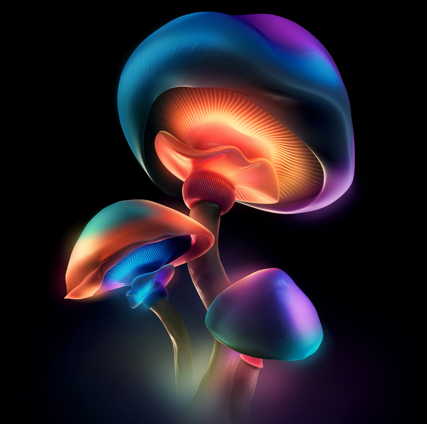 Plants and Flowers with a Gorgeous Glow