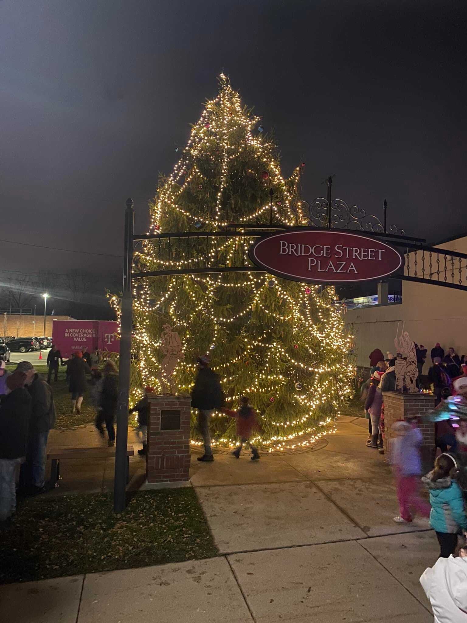 🎄 Give the Gift of a Tree: Holiday Tree Donation Request for Bridge Street Plaza