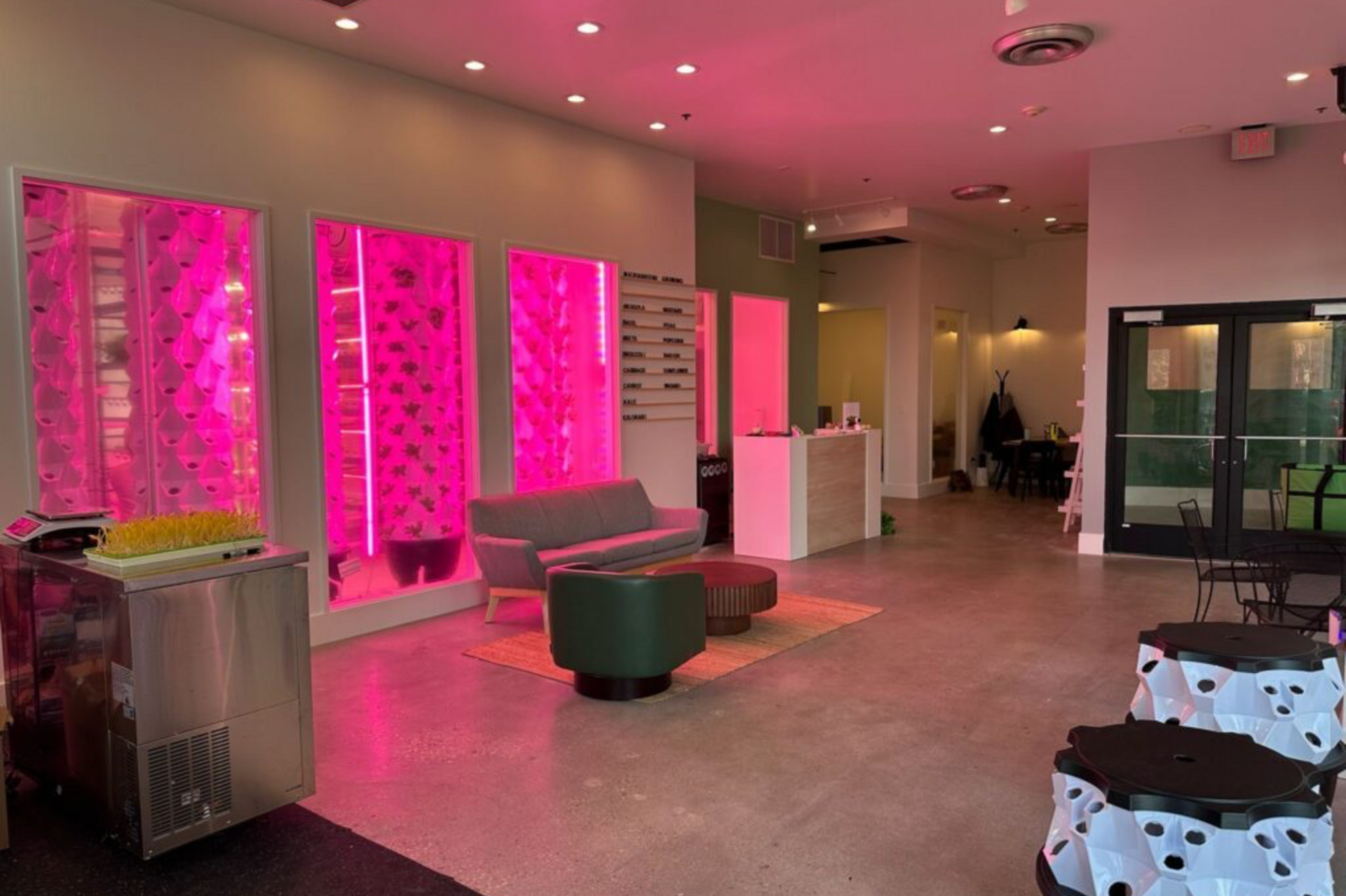 Local Leaf Farm: microgreens and more!