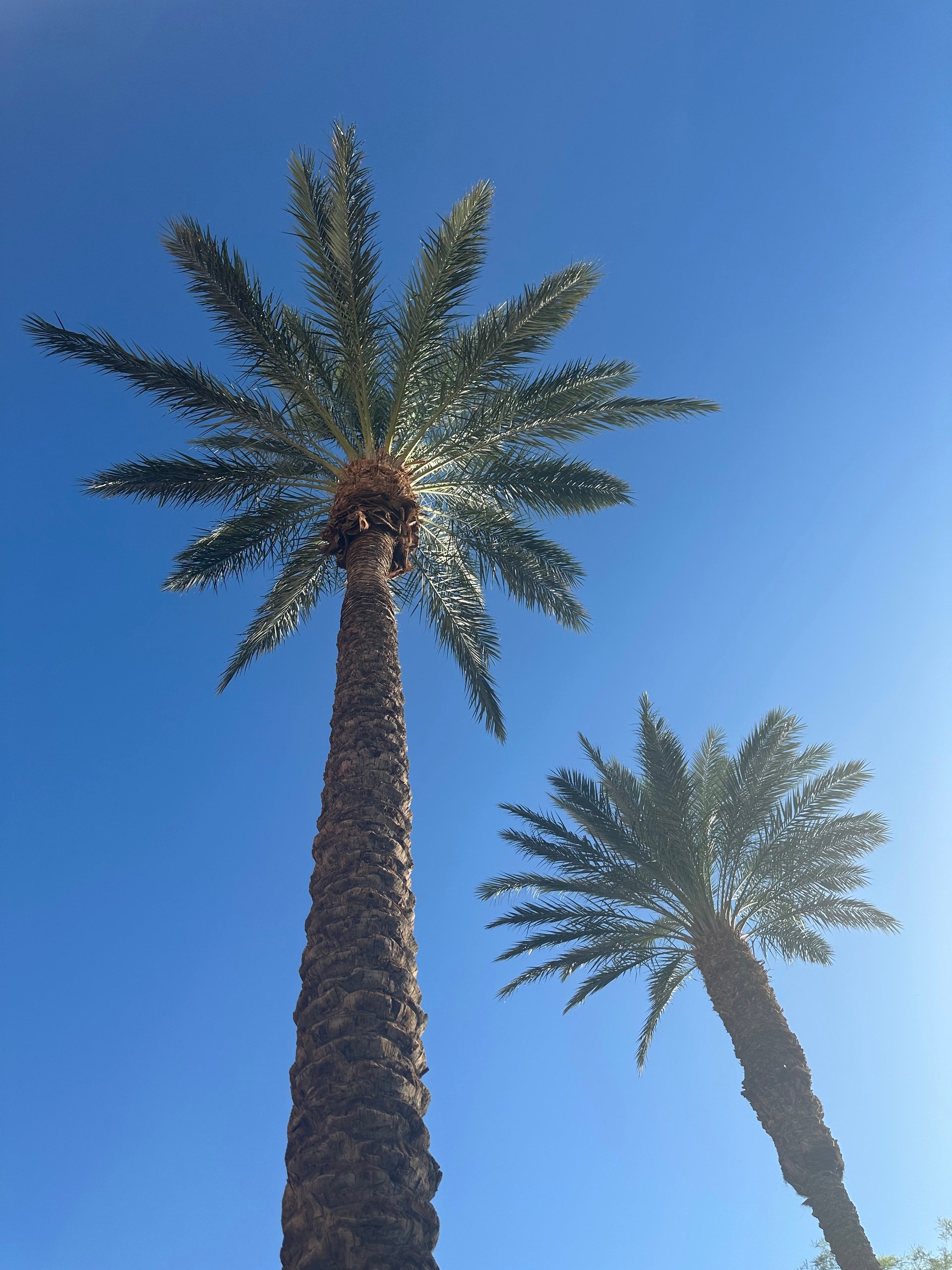 Surfing With Your Inner Child