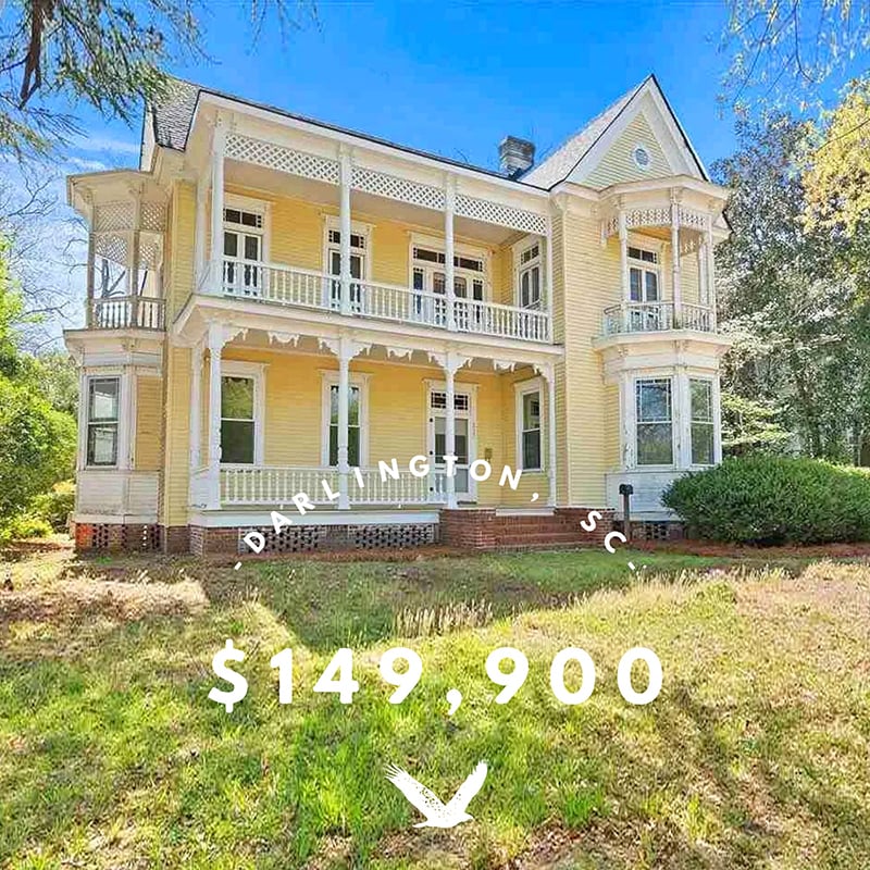 This Week on Instagram