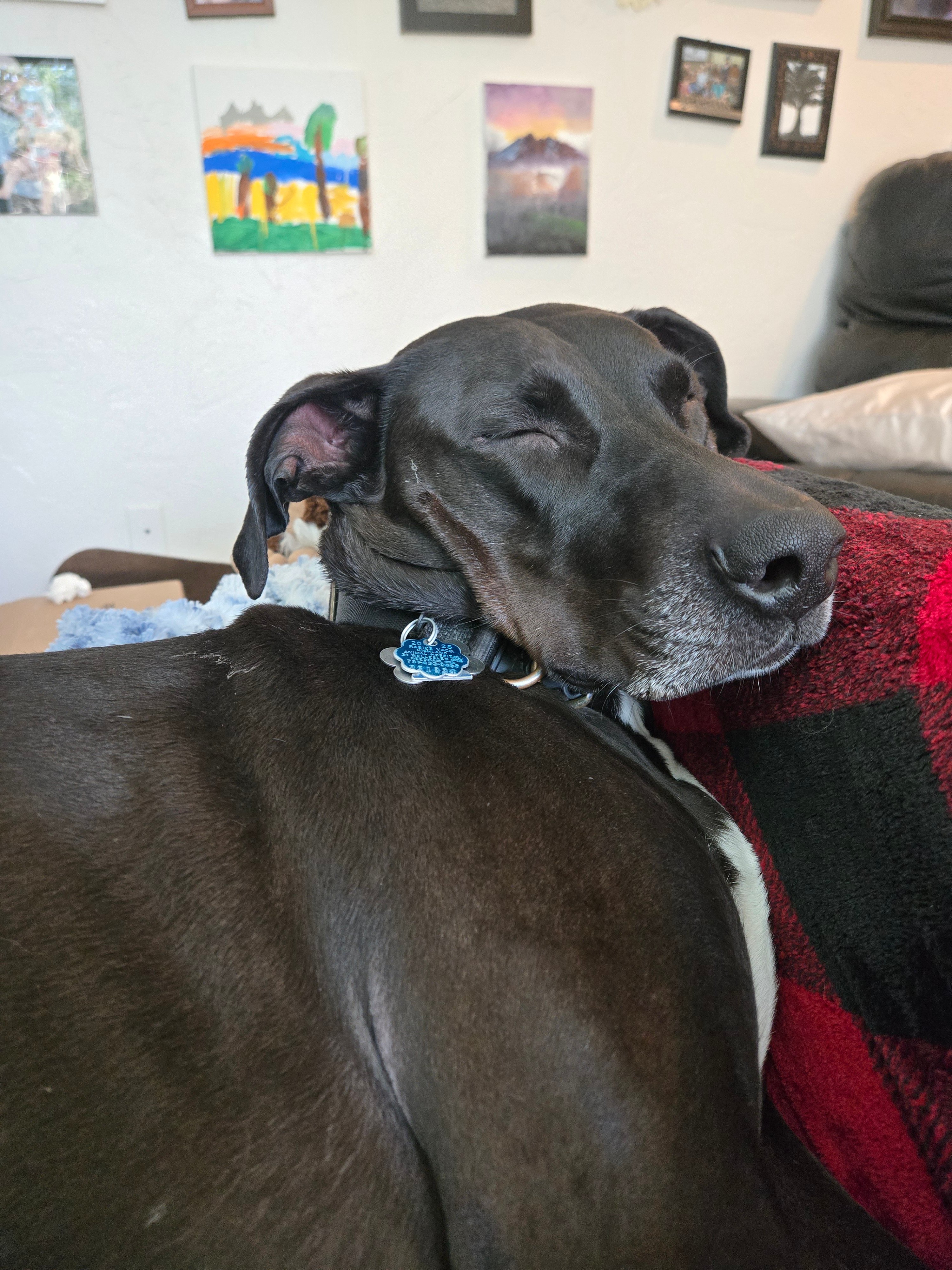 #AcademicRunPlaylist - 4/3/26