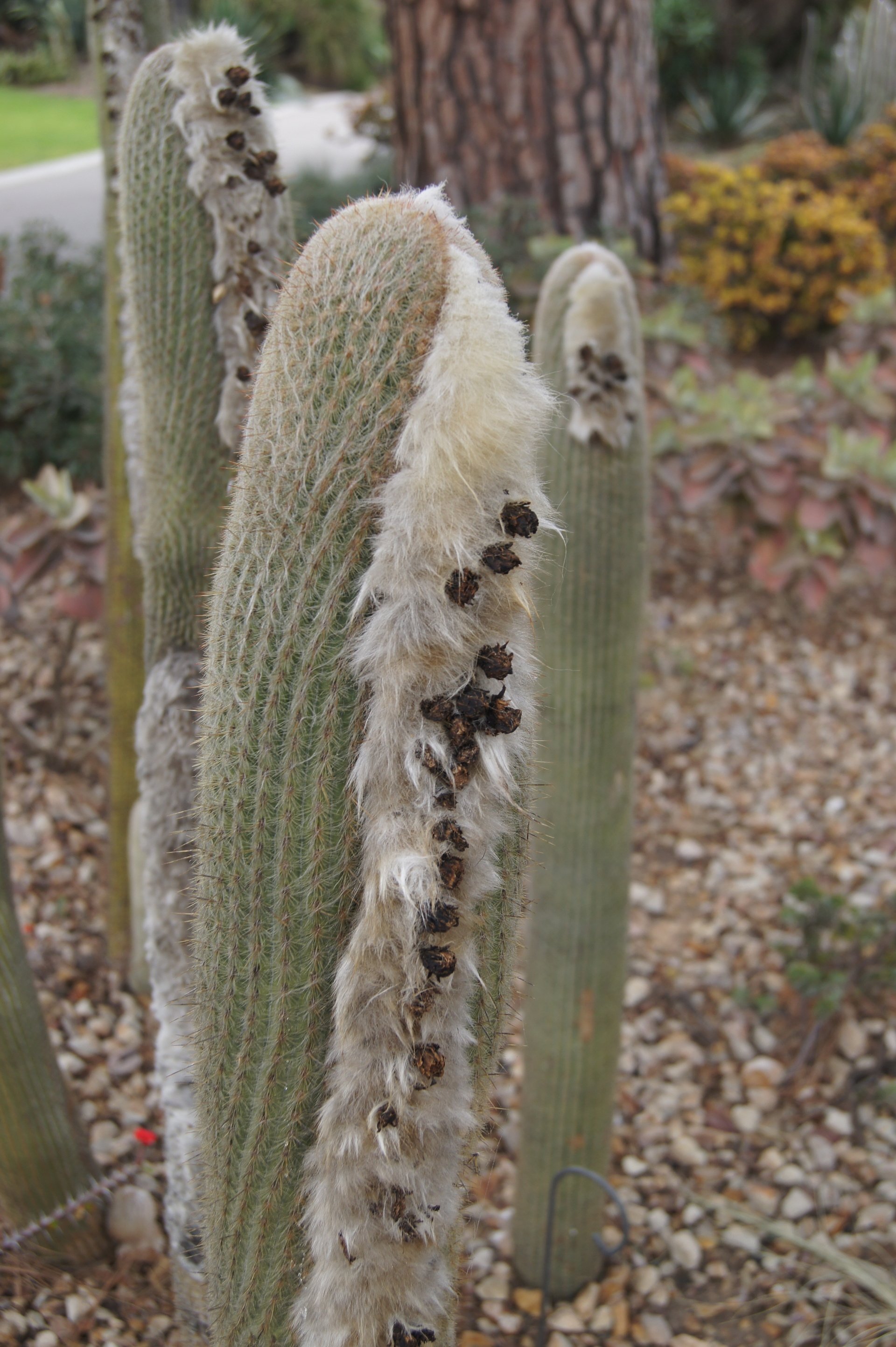 Well, that didn't take long!