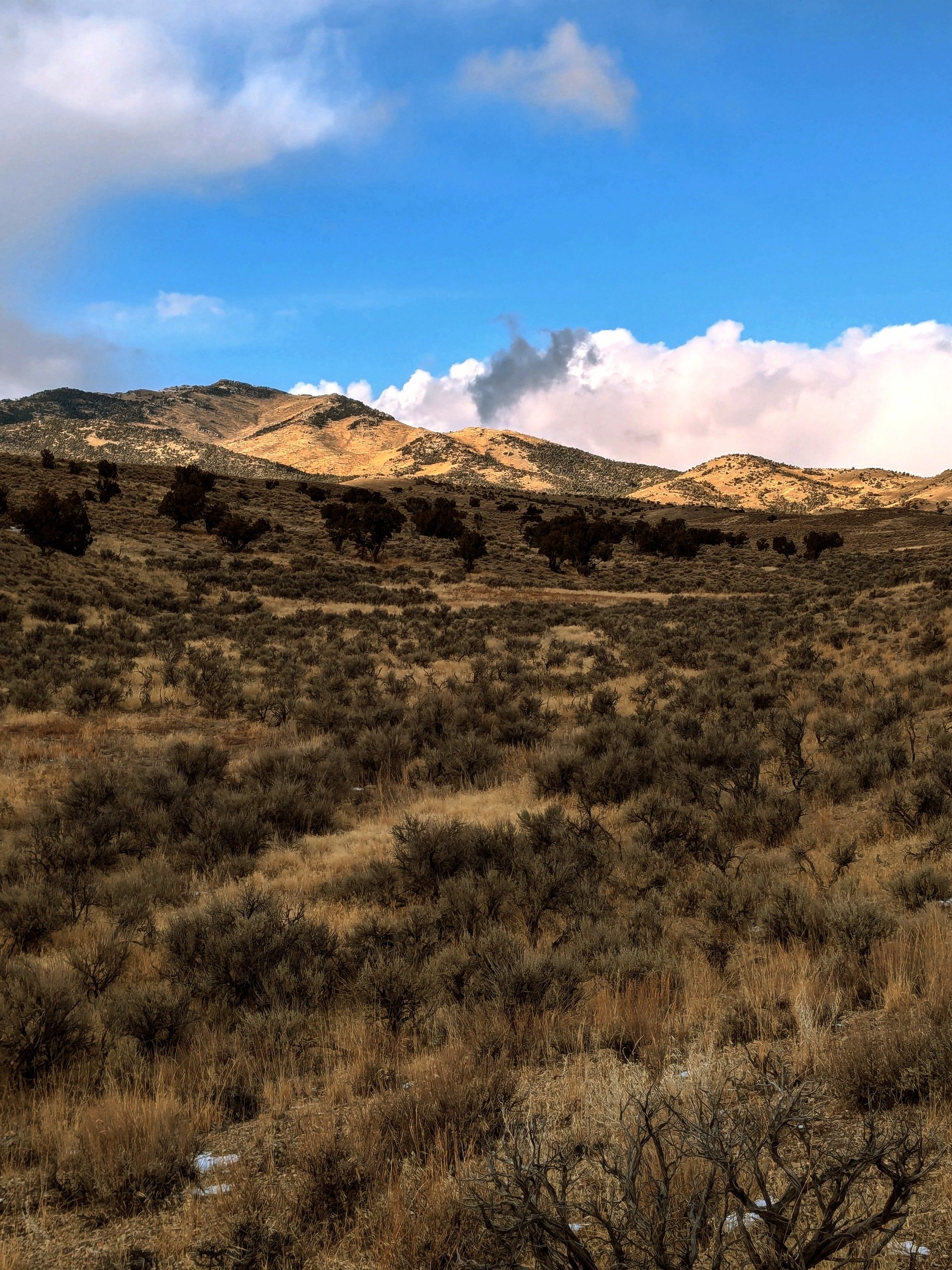 This land deal won’t wait: 10 acres under $10k