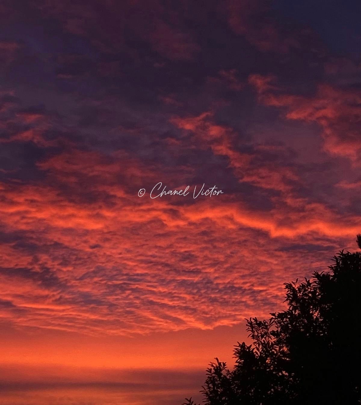 Nature Never Hurries, So Why Do We? 