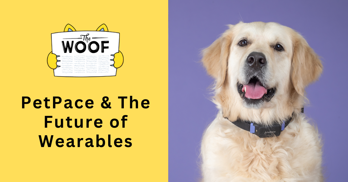 PetPace & The Future of Wearables