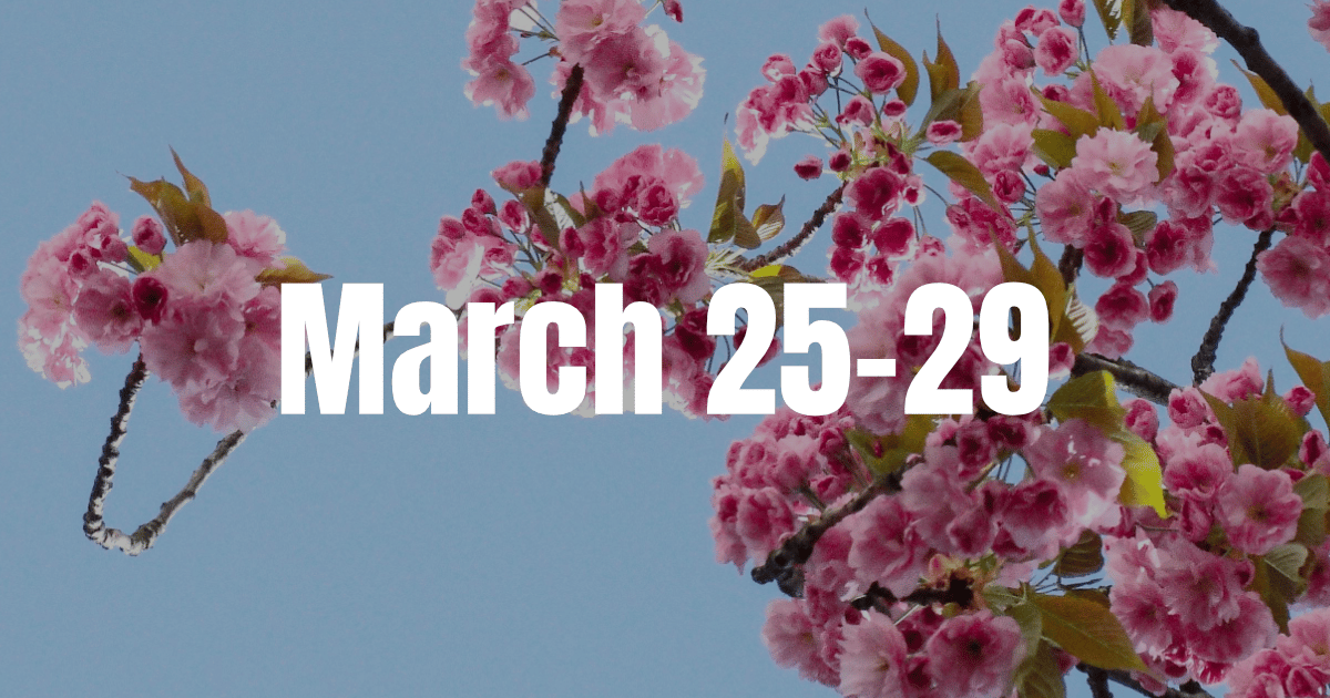 Hello Berlin! Here's what you need to know for your week March 25-29