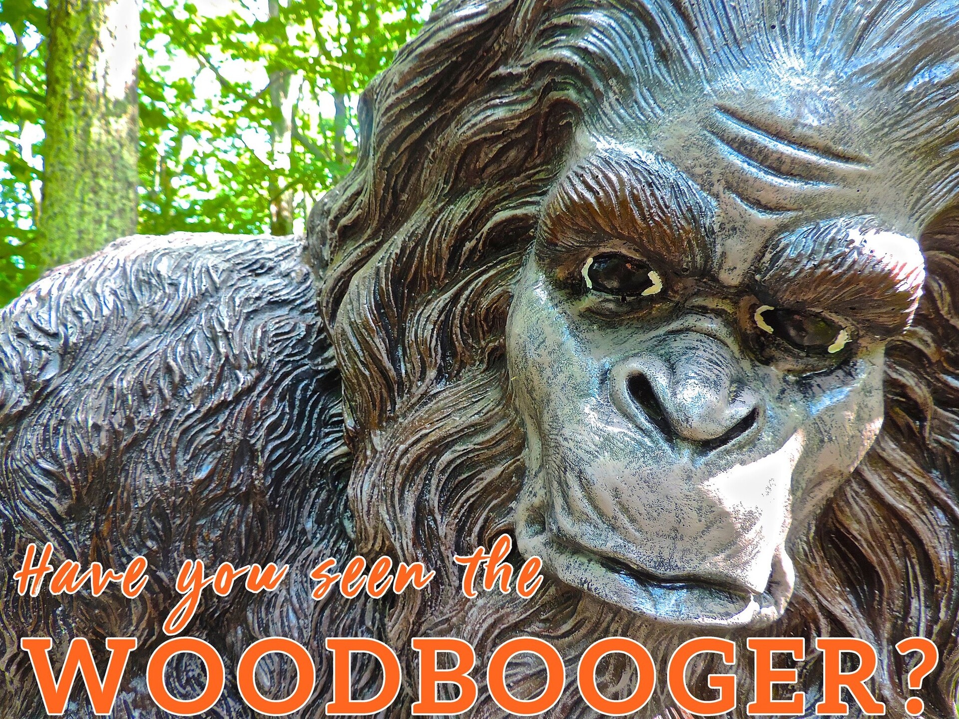 Congressman Morgan "Woodbooger" Griffith’s New Diet Plan: One Gummy, Zero Complaints