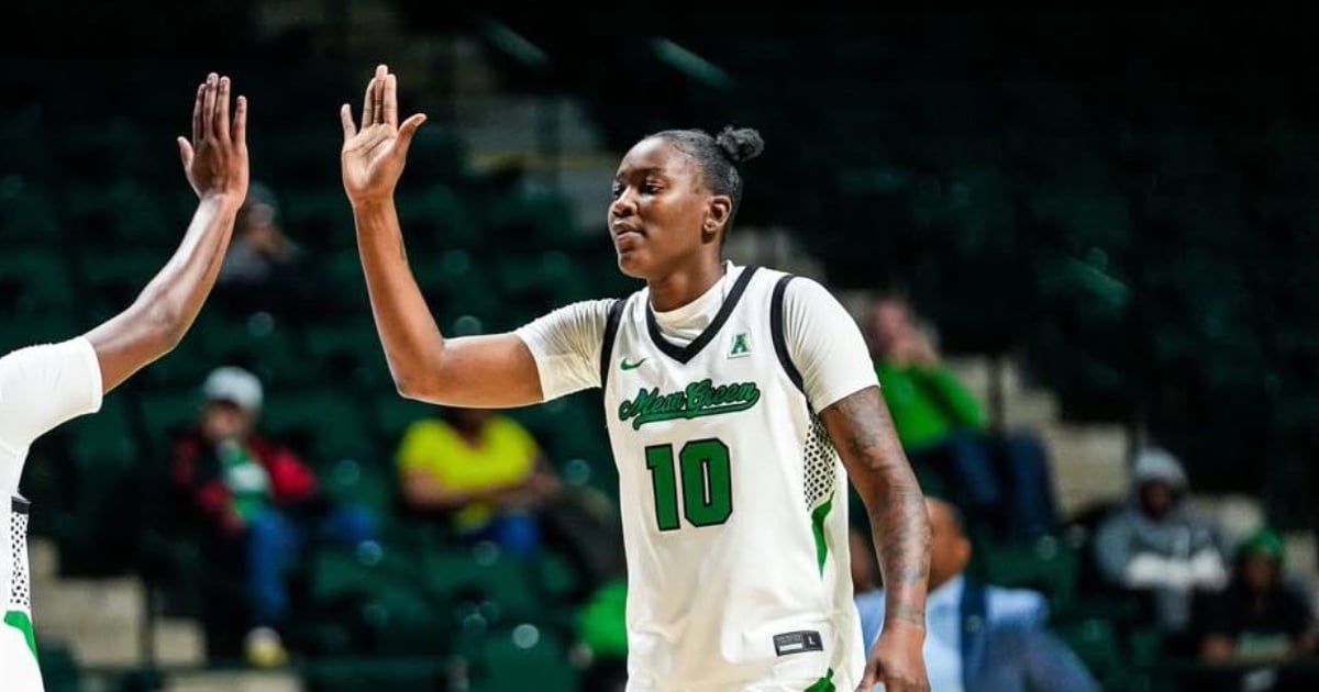 Mean Green Rebounding Machine