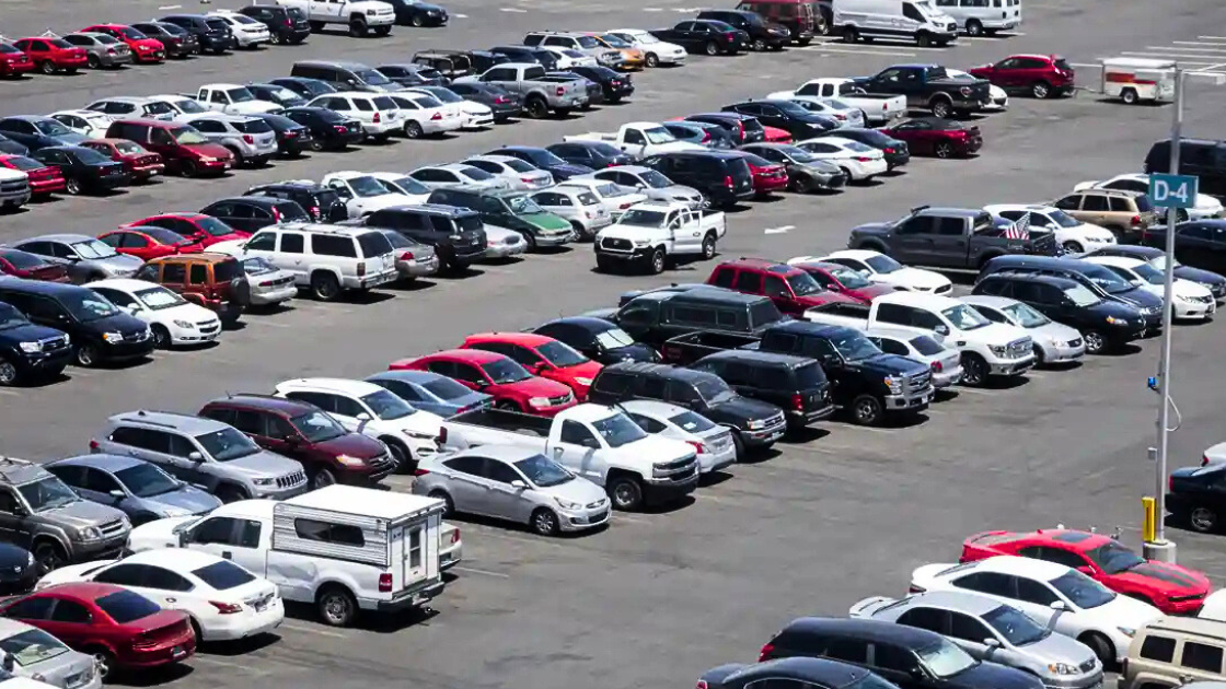 Wholesale used-car prices hold steady heading into year-end