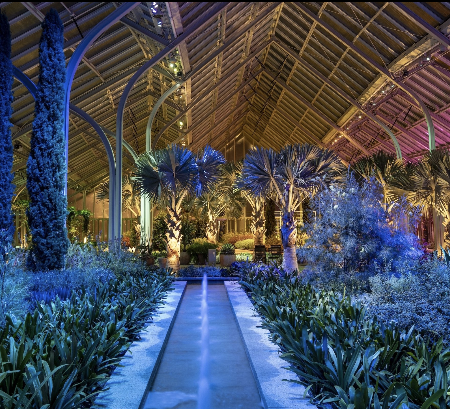 Springfield Gets Two New Restaurants and What $450K Buys You in Delco Right Now 🏠